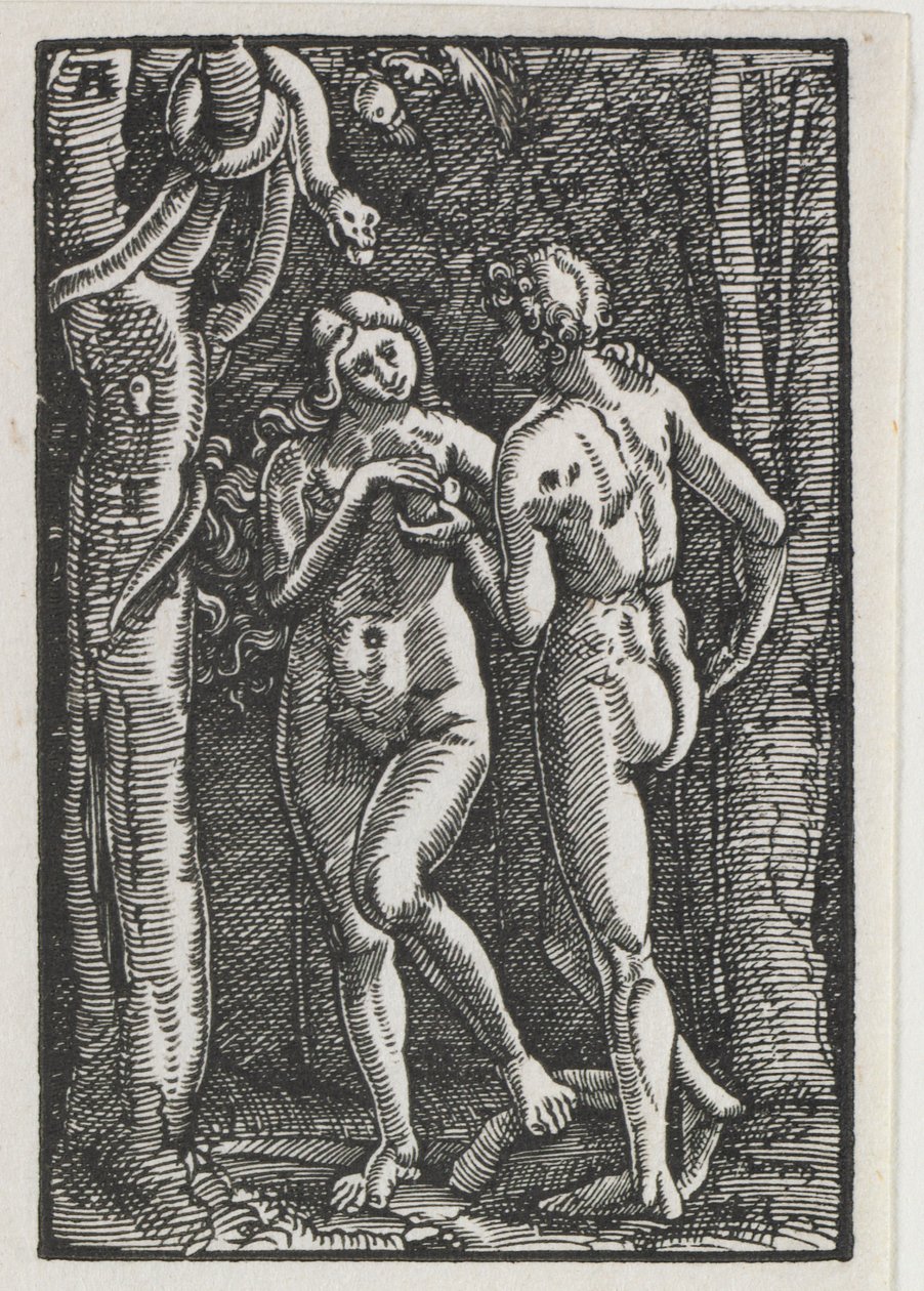 La caída y redención del hombre: Adán y Eva comiendo el fruto prohibido de Albrecht Altdorfer