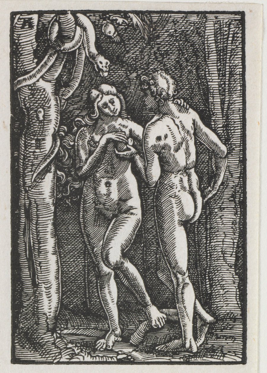 La caída y redención del hombre: Adán y Eva comiendo el fruto prohibido, c. 1513 de Albrecht Altdorfer