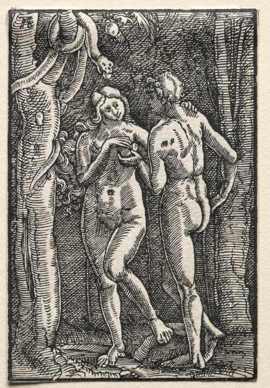 La Caída y Redención del Hombre: Adán y Eva Comiendo el Fruto Prohibido, c. 1515 de Albrecht Altdorfer