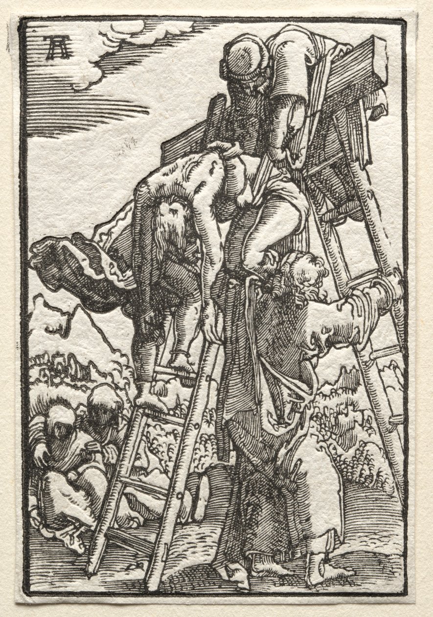 La caída y redención del hombre: Descenso de la cruz, c. 1515 de Albrecht Altdorfer