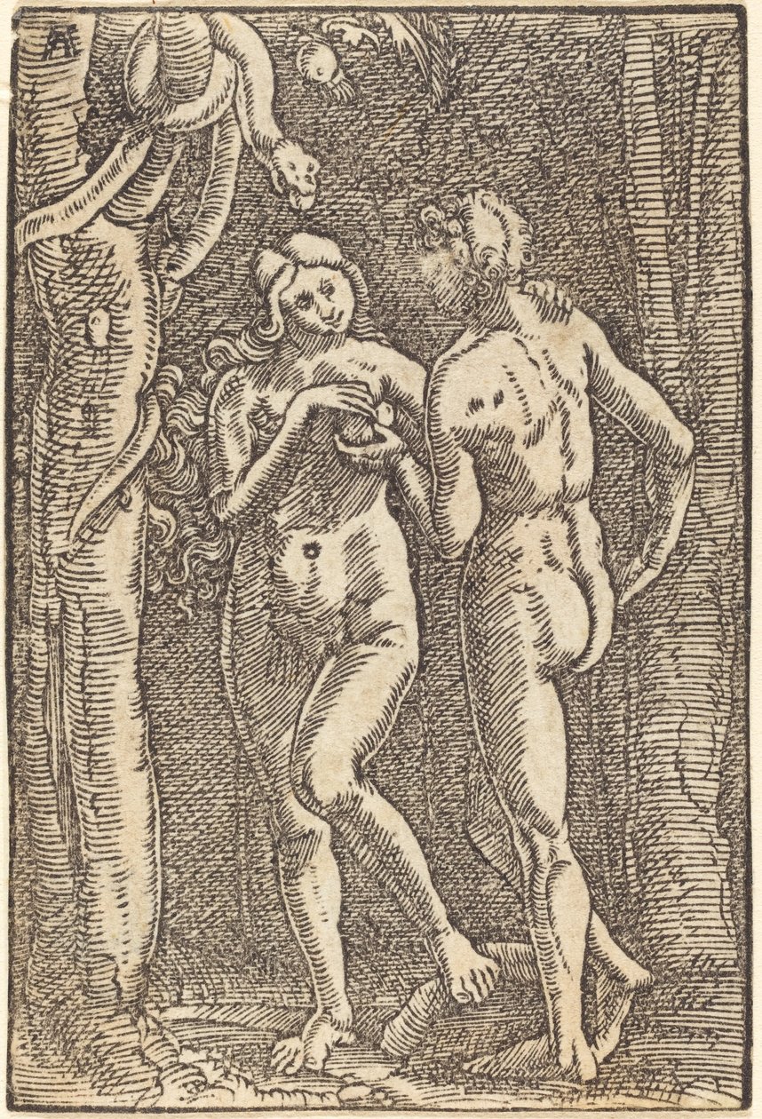 La caída del hombre de Albrecht Altdorfer