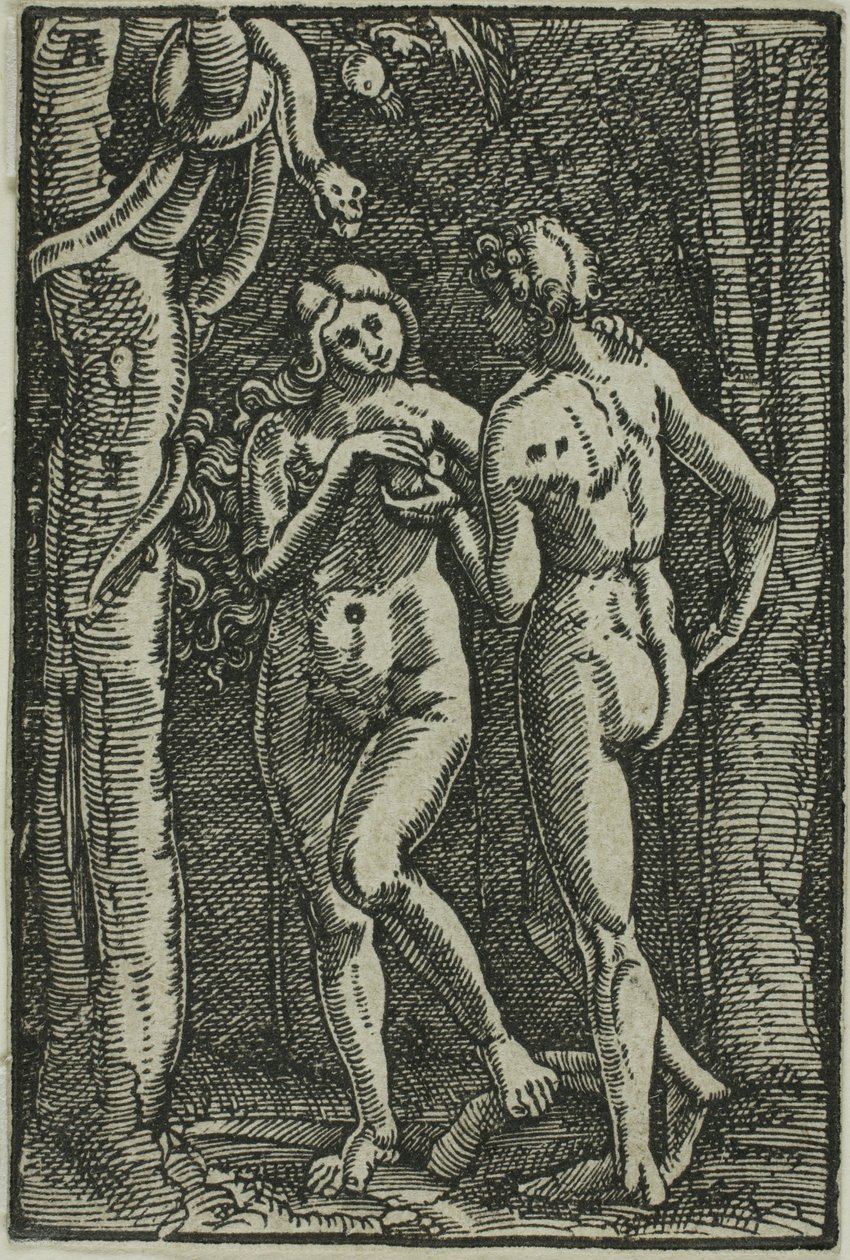 La caída del hombre, de La caída y redención del hombre de Albrecht Altdorfer