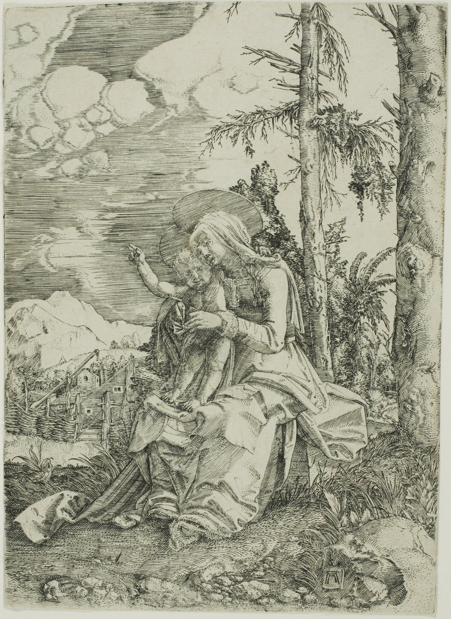 La Virgen con el Niño Bendiciendo en un paisaje de Albrecht Altdorfer