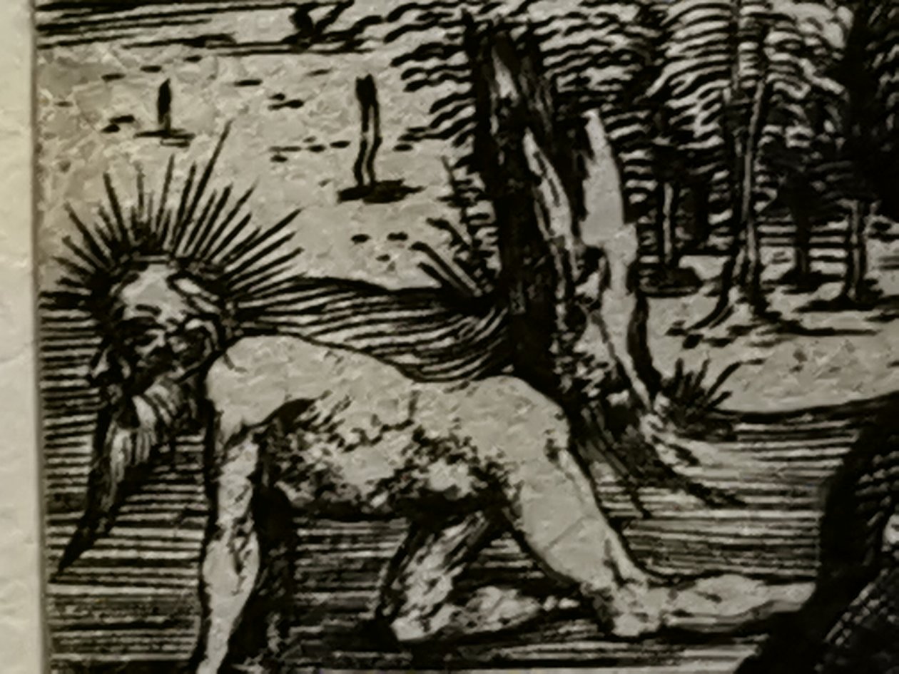 2021 - Segundo lote de Mateus2019 de julio (72) de Albrecht Dürer