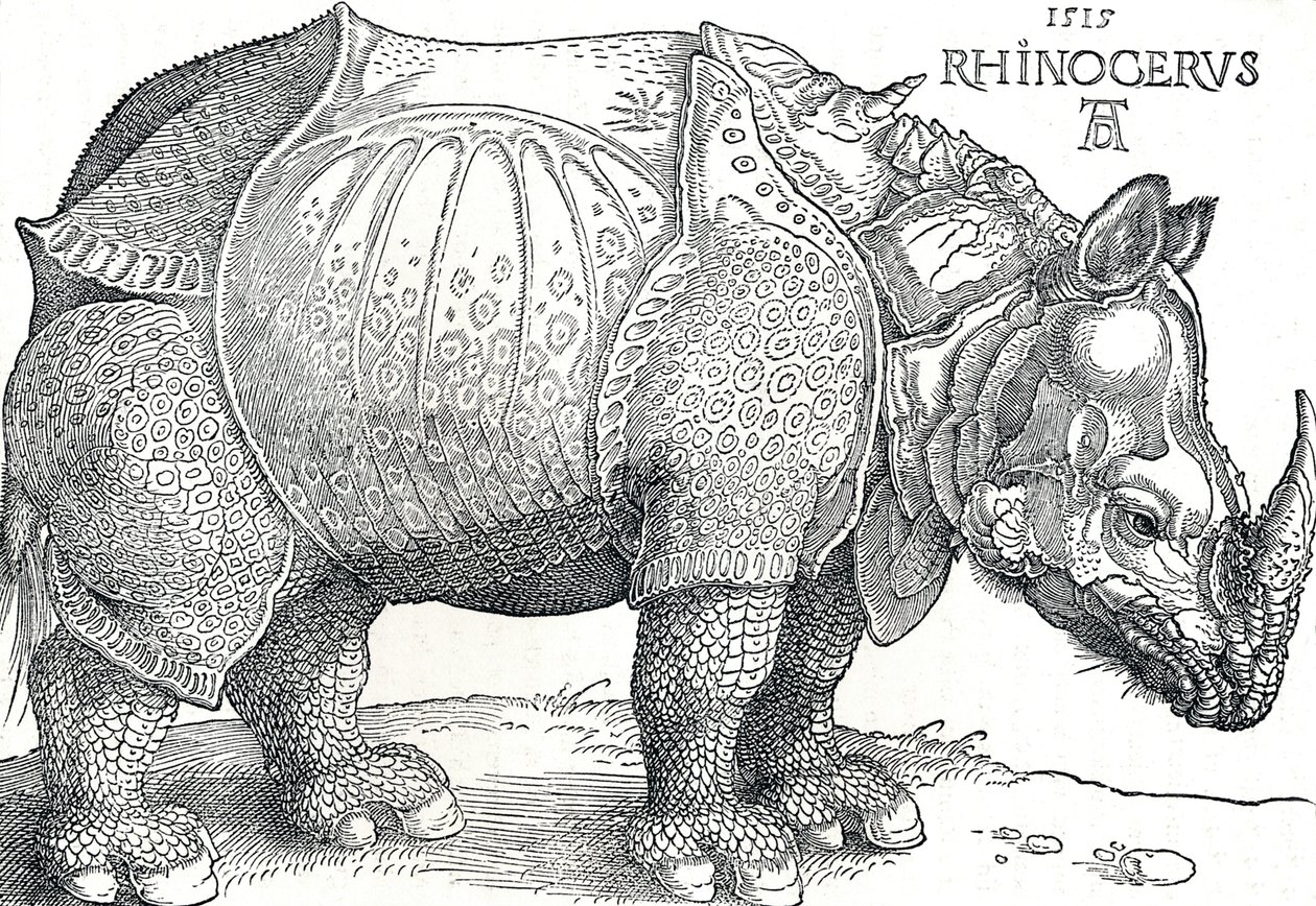 Un Rinoceronte de Albrecht Dürer