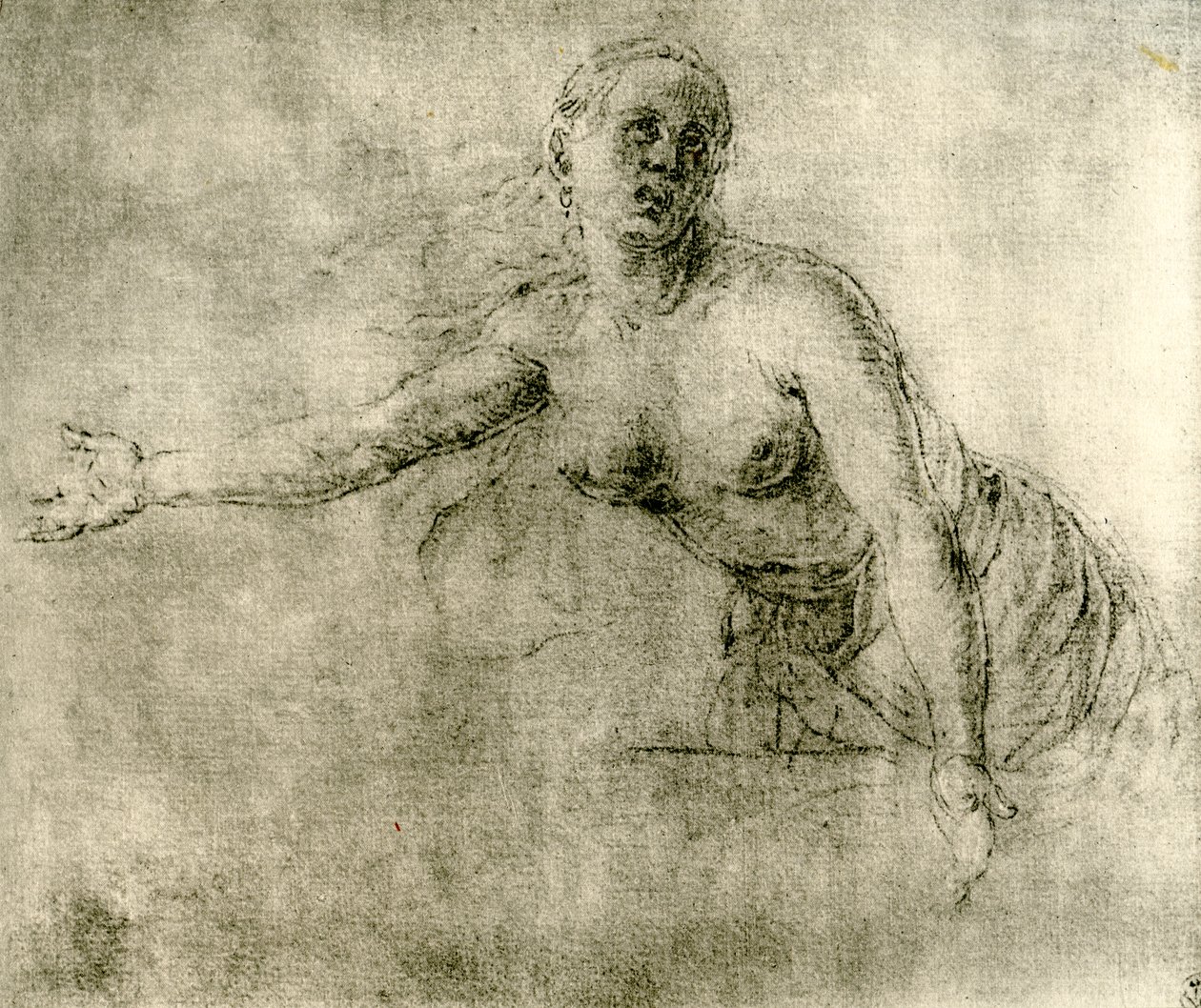 Un estudio, 1913 de Albrecht Dürer