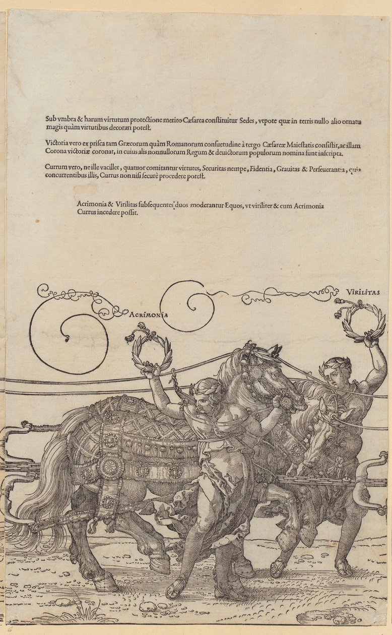 Acrimonia, página 6 de la serie «La gran carroza triunfal» de Albrecht Dürer