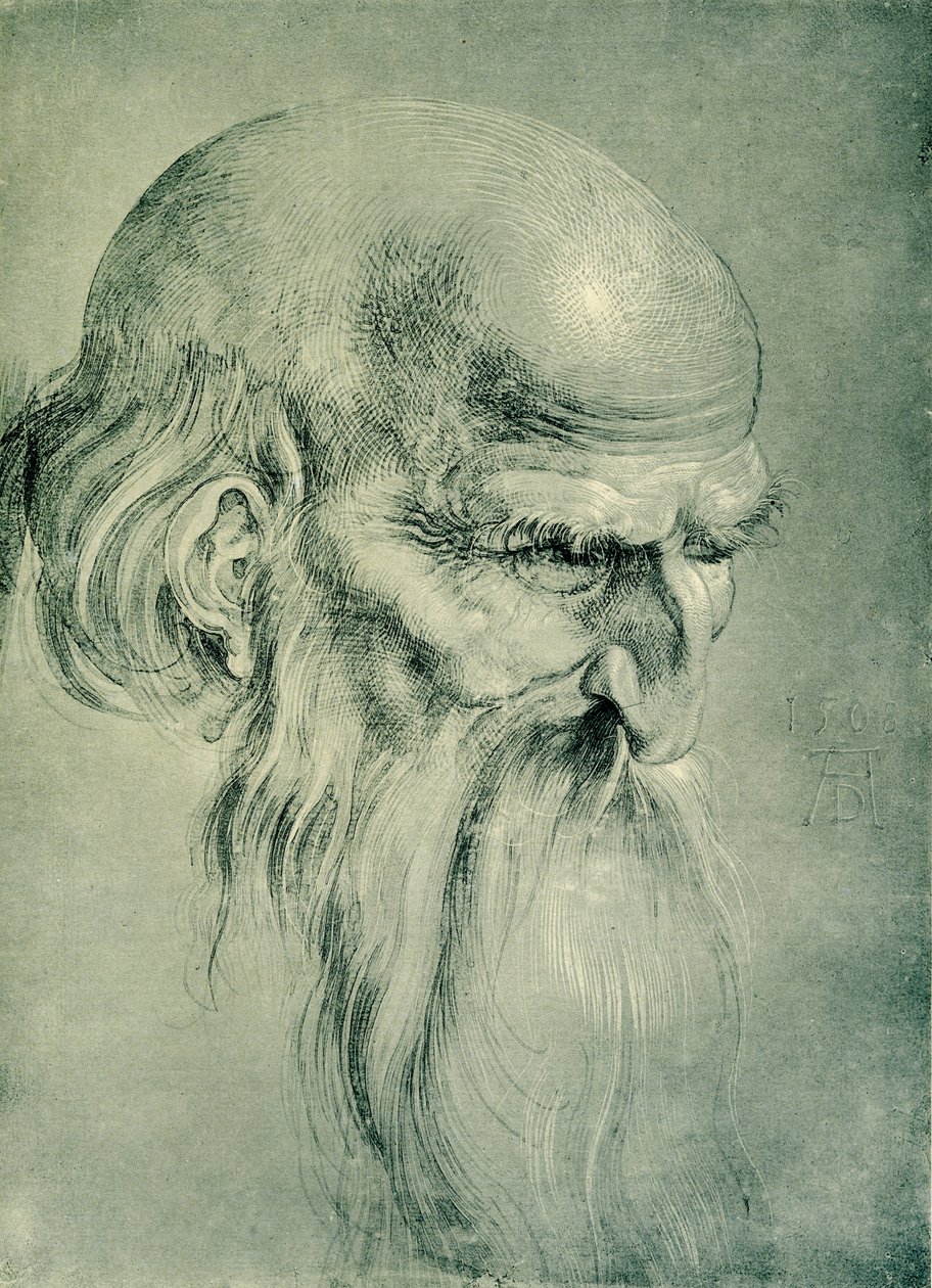 Cabeza de apóstol de Albrecht Dürer