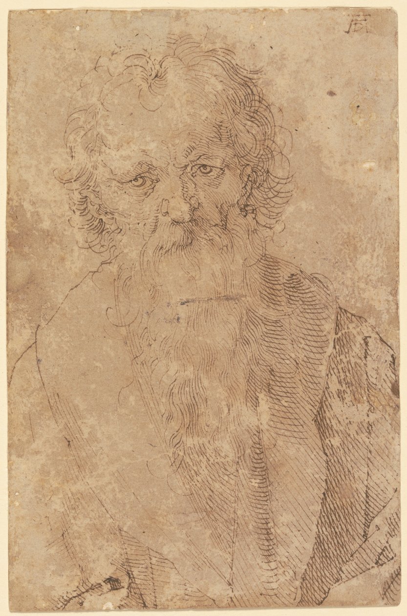 Anciano barbudo de Albrecht Dürer