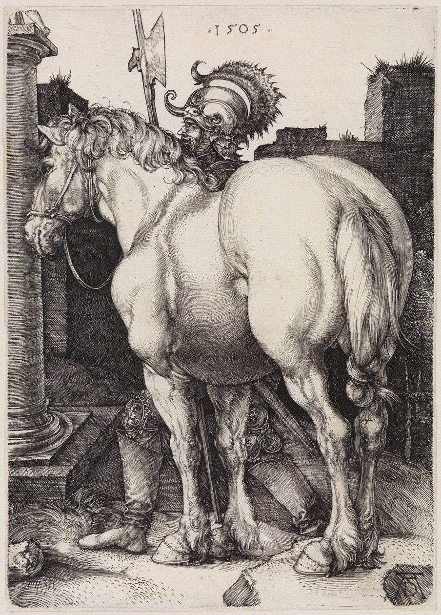 El gran caballo de Albrecht Dürer