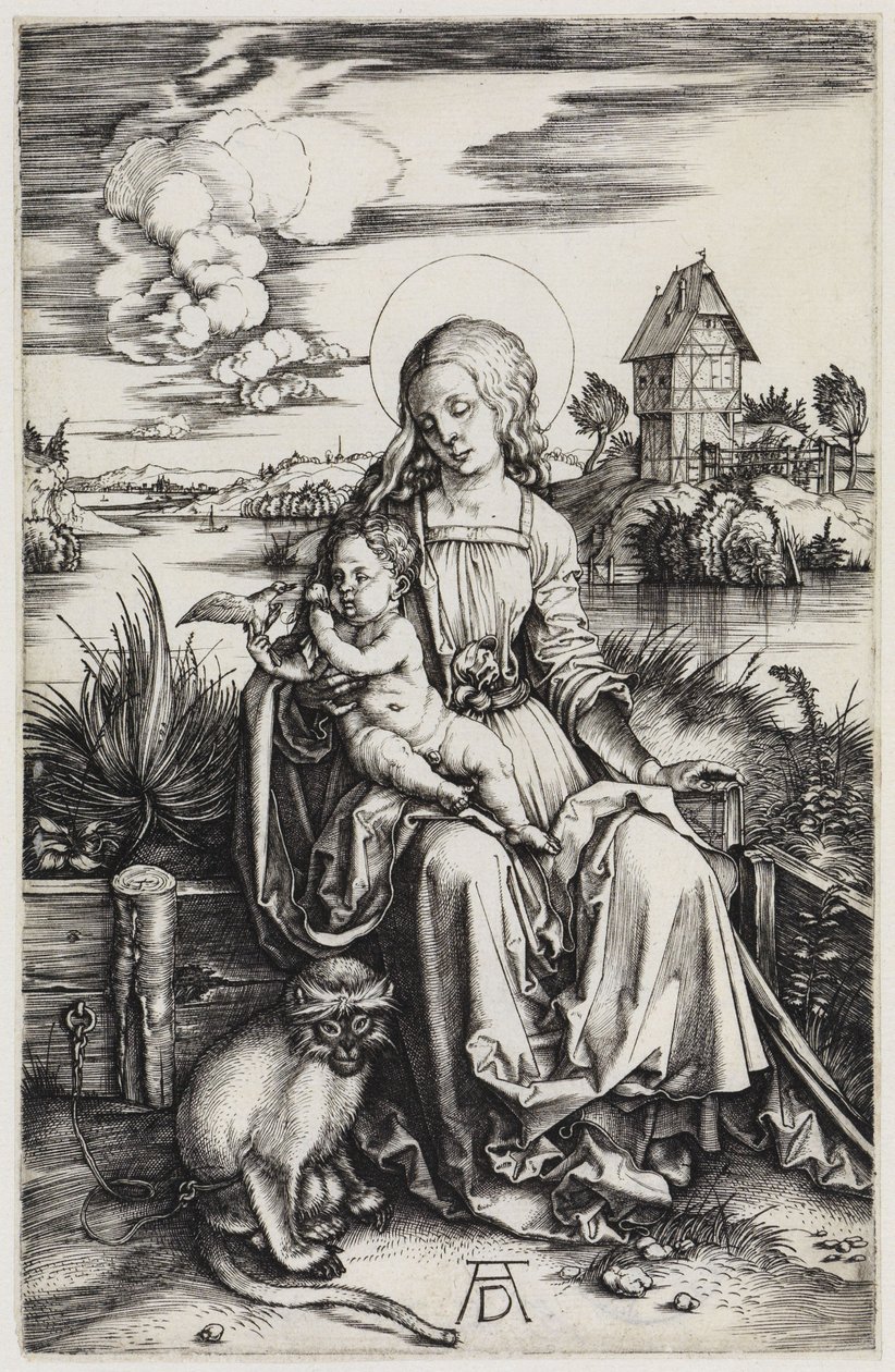 La Virgen con el mono marino de Albrecht Dürer