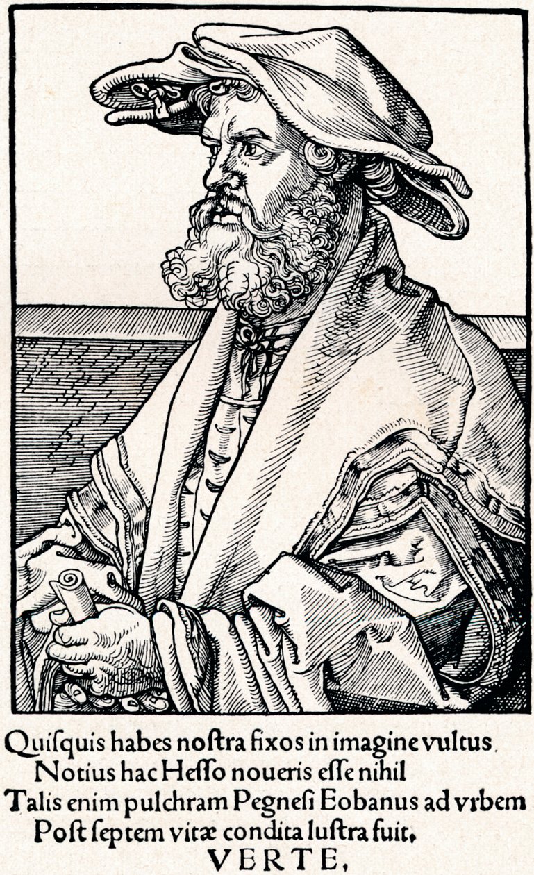 Eobanus Hesse, 1527 1906 de Albrecht Dürer