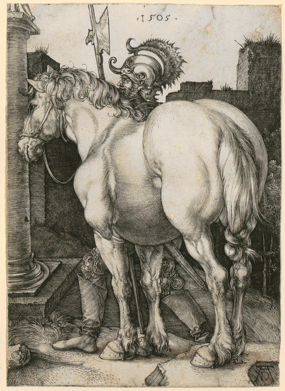 El gran caballo de Albrecht Dürer