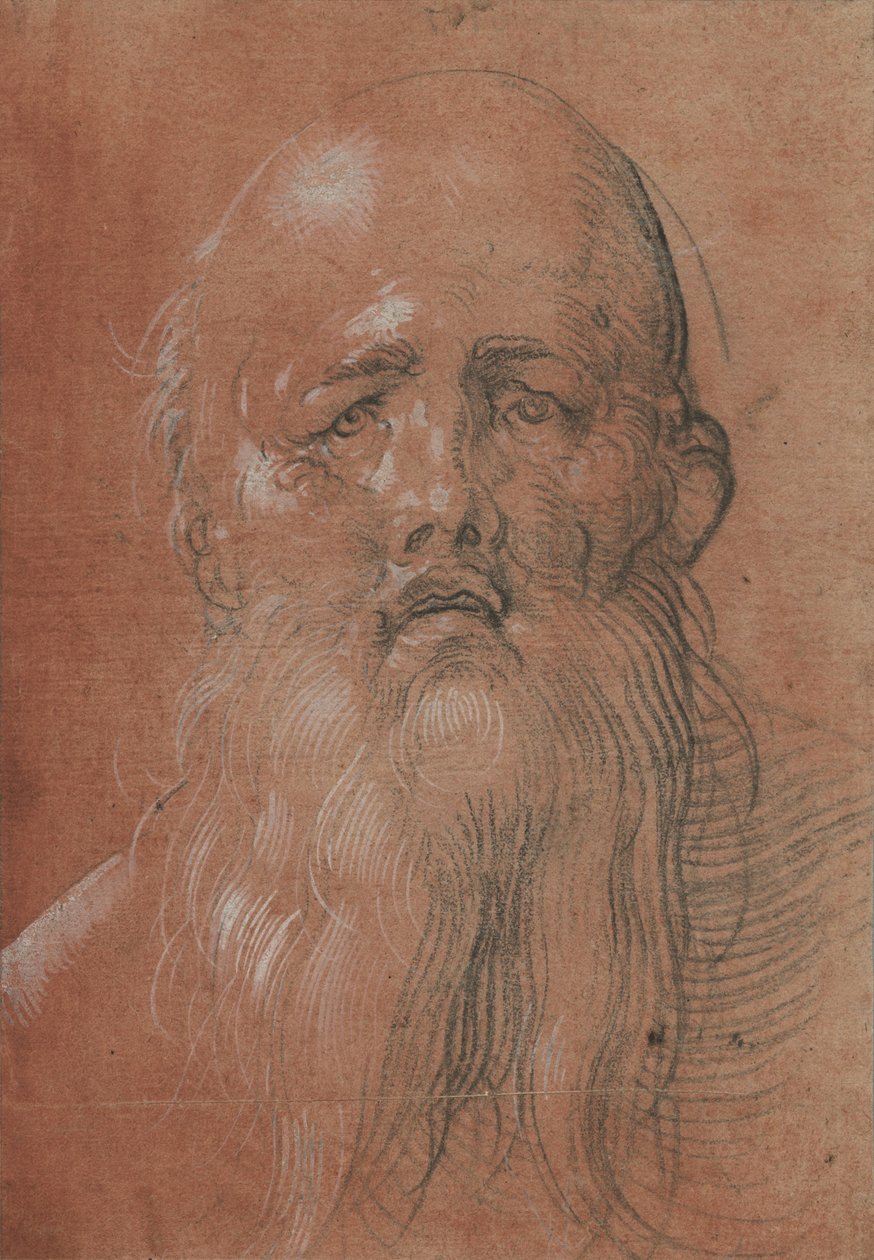 Cabeza de hombre barbudo de Albrecht Dürer