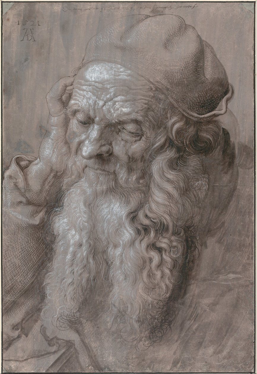 Cabeza de anciano de Albrecht Dürer