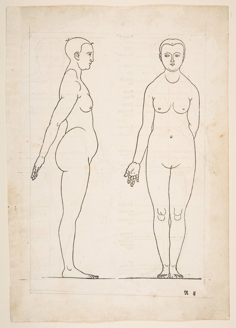 Ilustración de los Cuatro libros sobre la proporción humana de Durero, Núremberg, 1528 de Albrecht Dürer