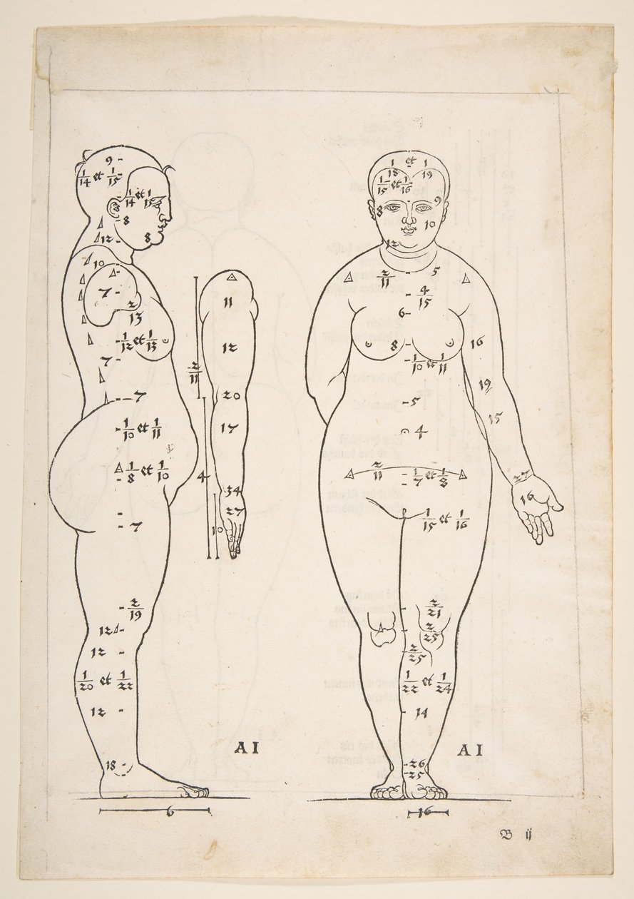 Ilustración de los Cuatro Libros sobre la Proporción Humana de Durero, Núremberg, 1528 de Albrecht Dürer
