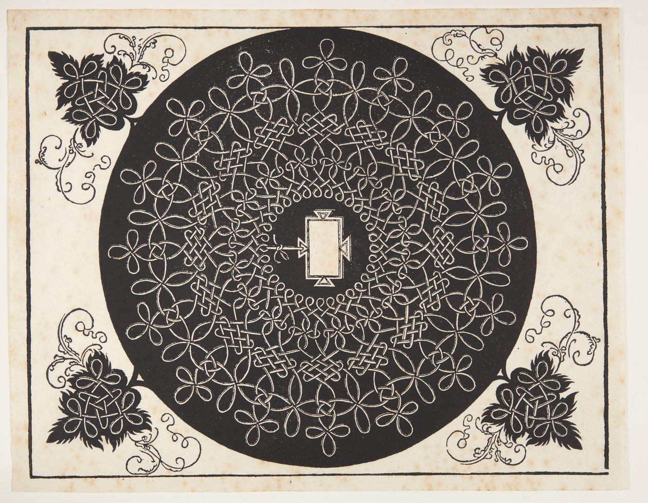 Patrón de cordón entrelazado con escudo oblongo de Albrecht Dürer