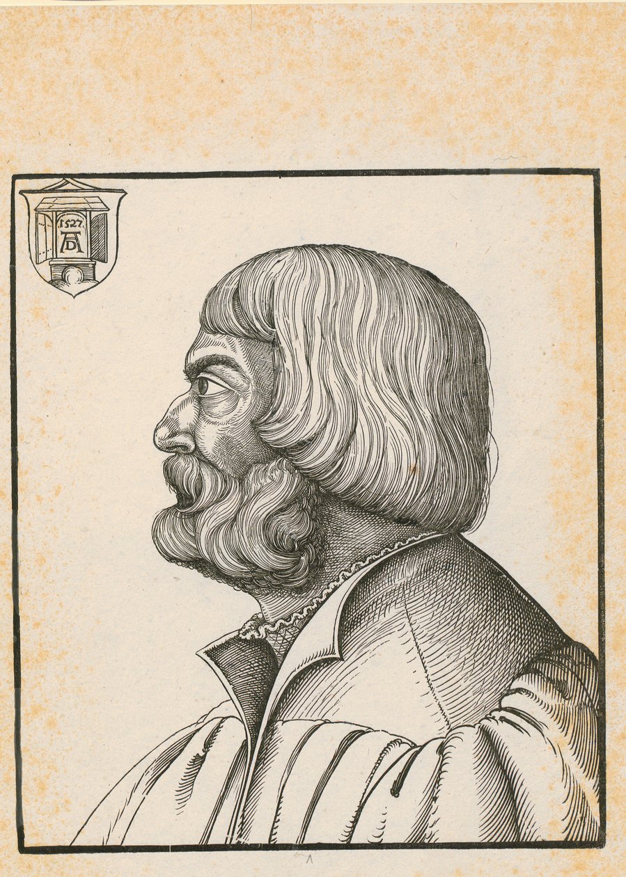 Nudo con siete trenzas iguales de Albrecht Dürer