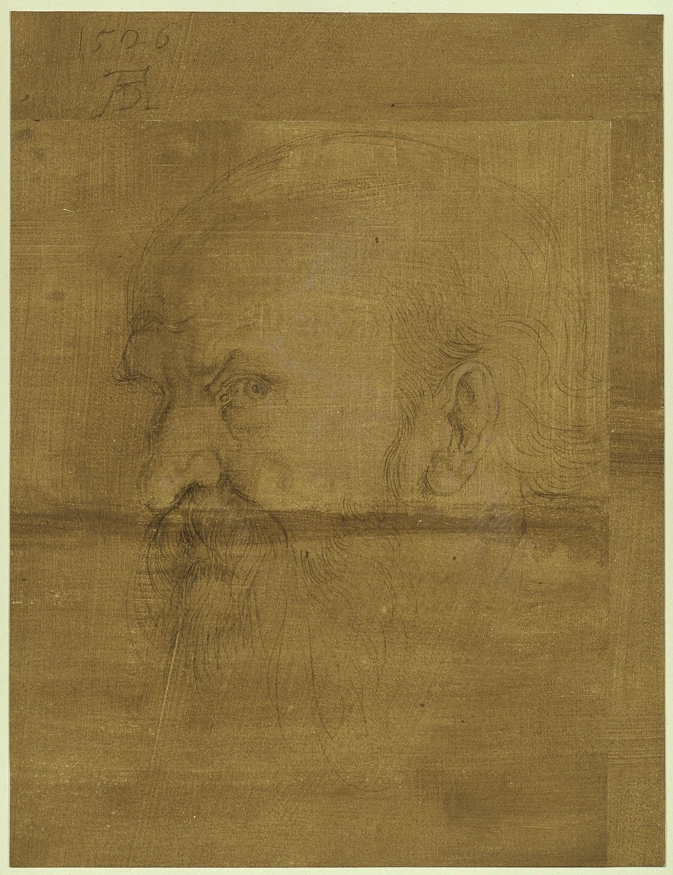 Cabeza del apóstol Pablo de Albrecht Dürer