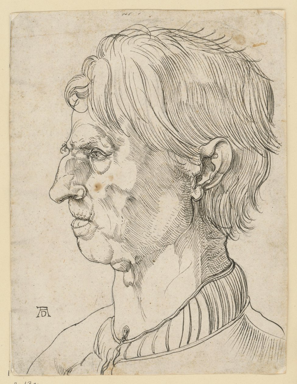 Cabeza de un hombre mayor sin barba, de perfil hacia la izquierda de Albrecht Dürer