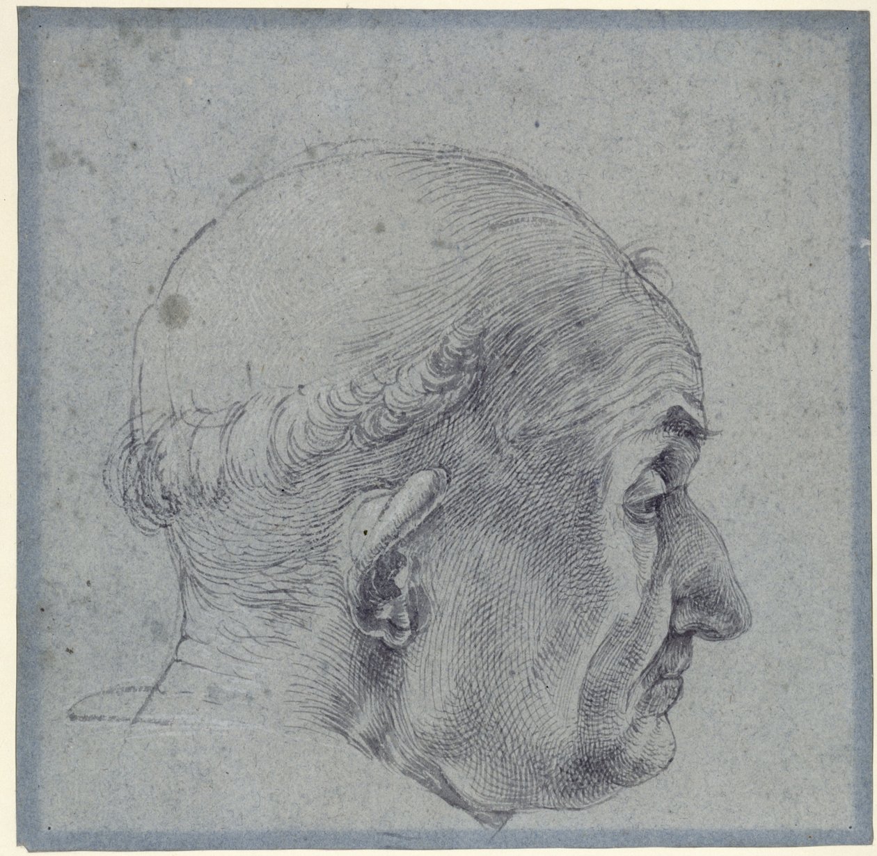 Cabeza de hombre de perfil de Albrecht Dürer