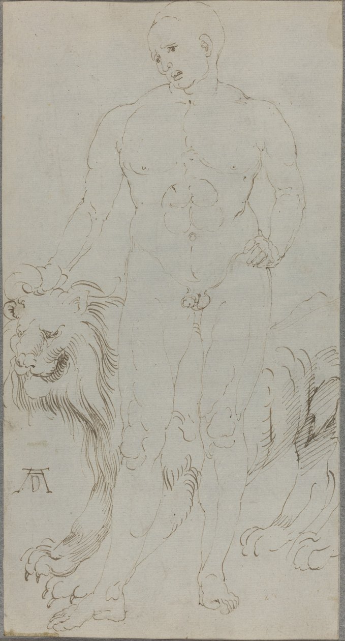 Desnudo masculino con un león (verso) de Albrecht Dürer