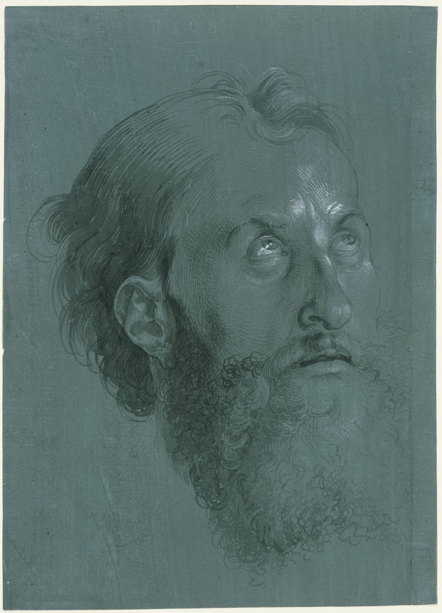 Cabeza de apóstol vuelta hacia la derecha de Albrecht Dürer