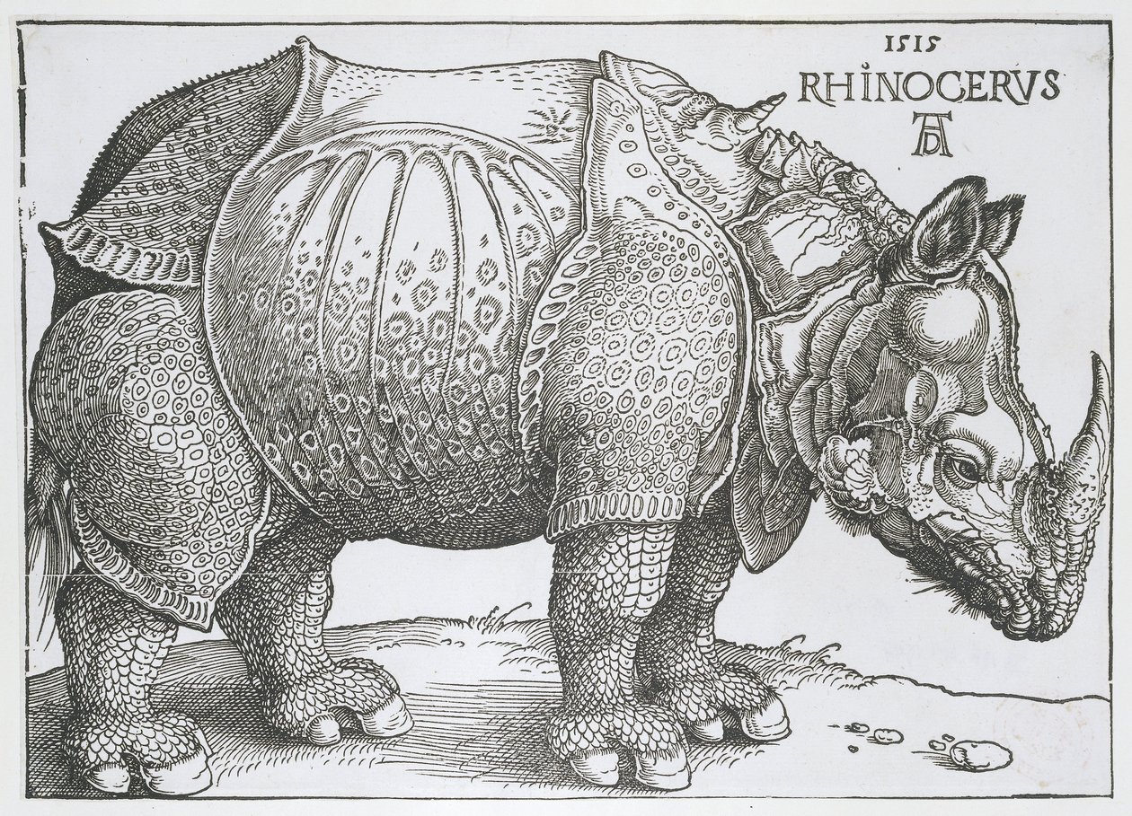 Neushoorn Rhinocerus (título sobre objeto) de Albrecht Dürer