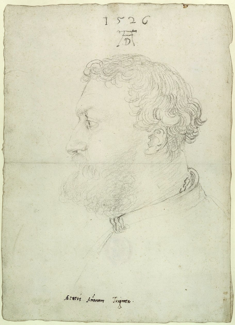 Retrato de perfil de Raimund Fugger de Albrecht Dürer