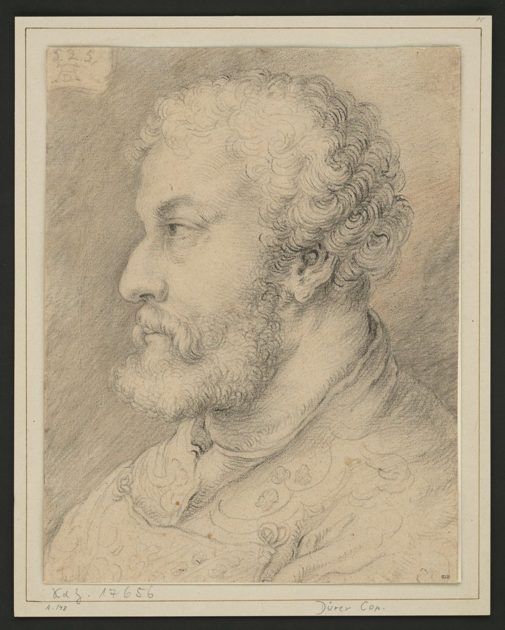 Retrato de perfil de Raymund Fugger? de Albrecht Dürer