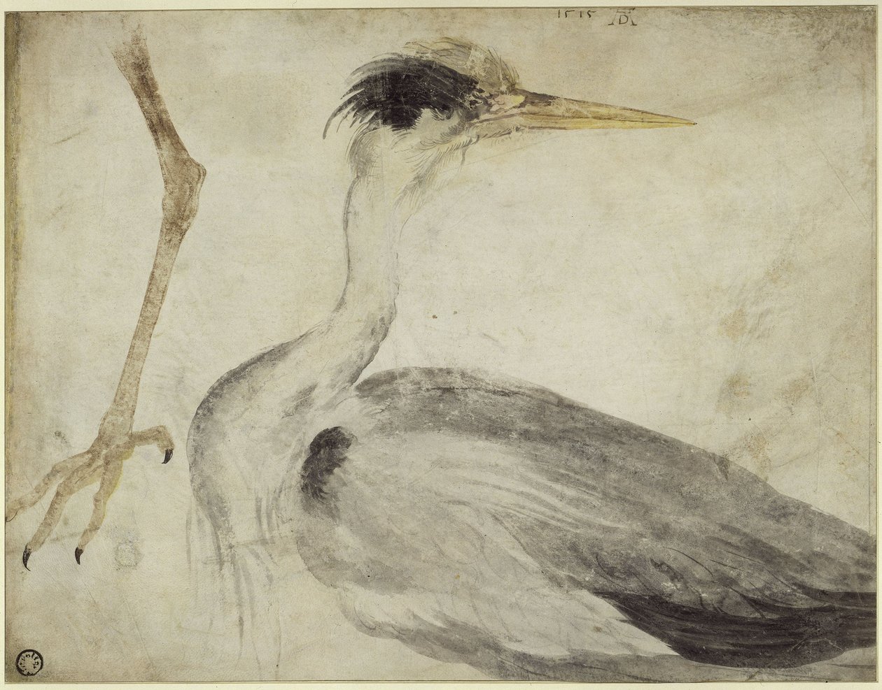garza de Albrecht Dürer