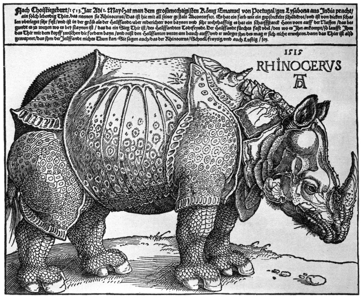 Rinoceronte, impresión dada a Maximiliano I por el Rey de Lisboa, 1515, 1936 de Albrecht Dürer