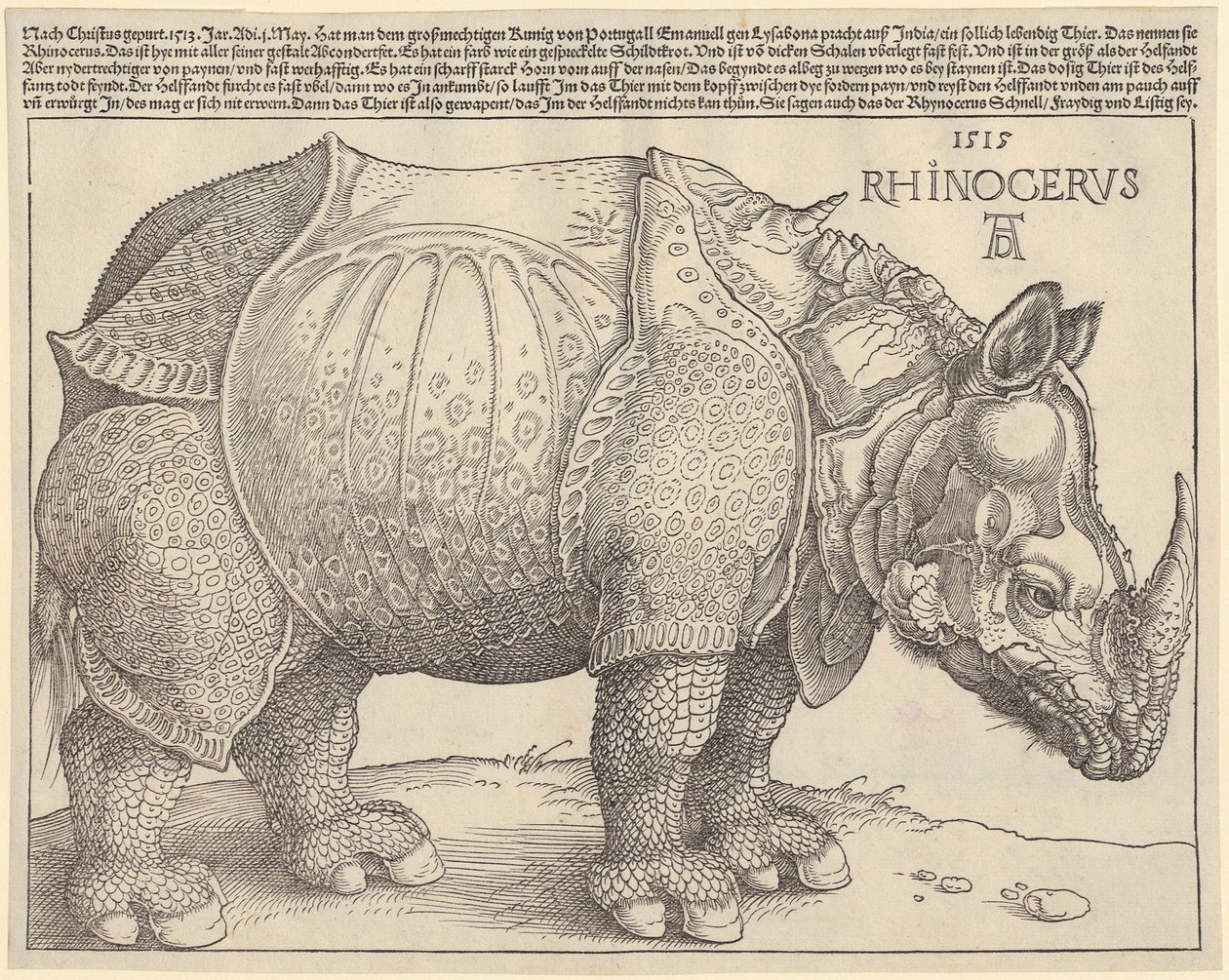 Rinoceronte de Albrecht Dürer
