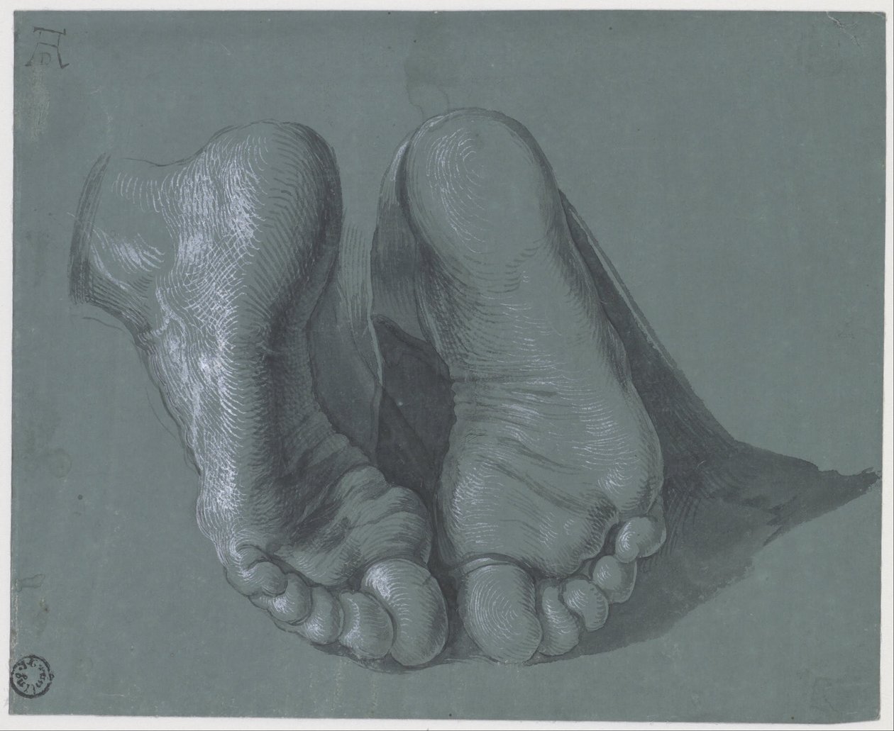 Estudio de dos pies de Albrecht Dürer
