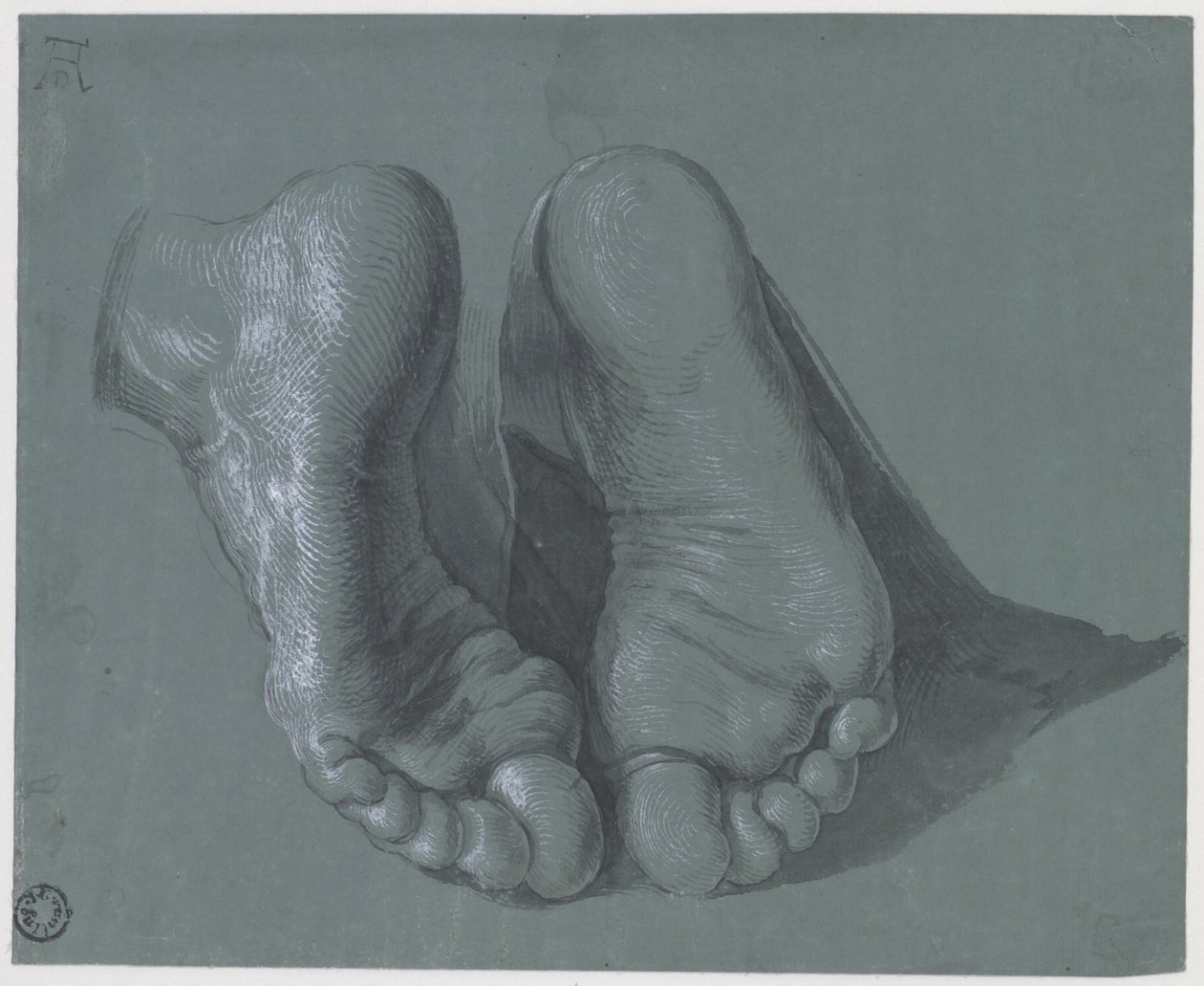Estudio de dos pies, c.1508 de Albrecht Dürer