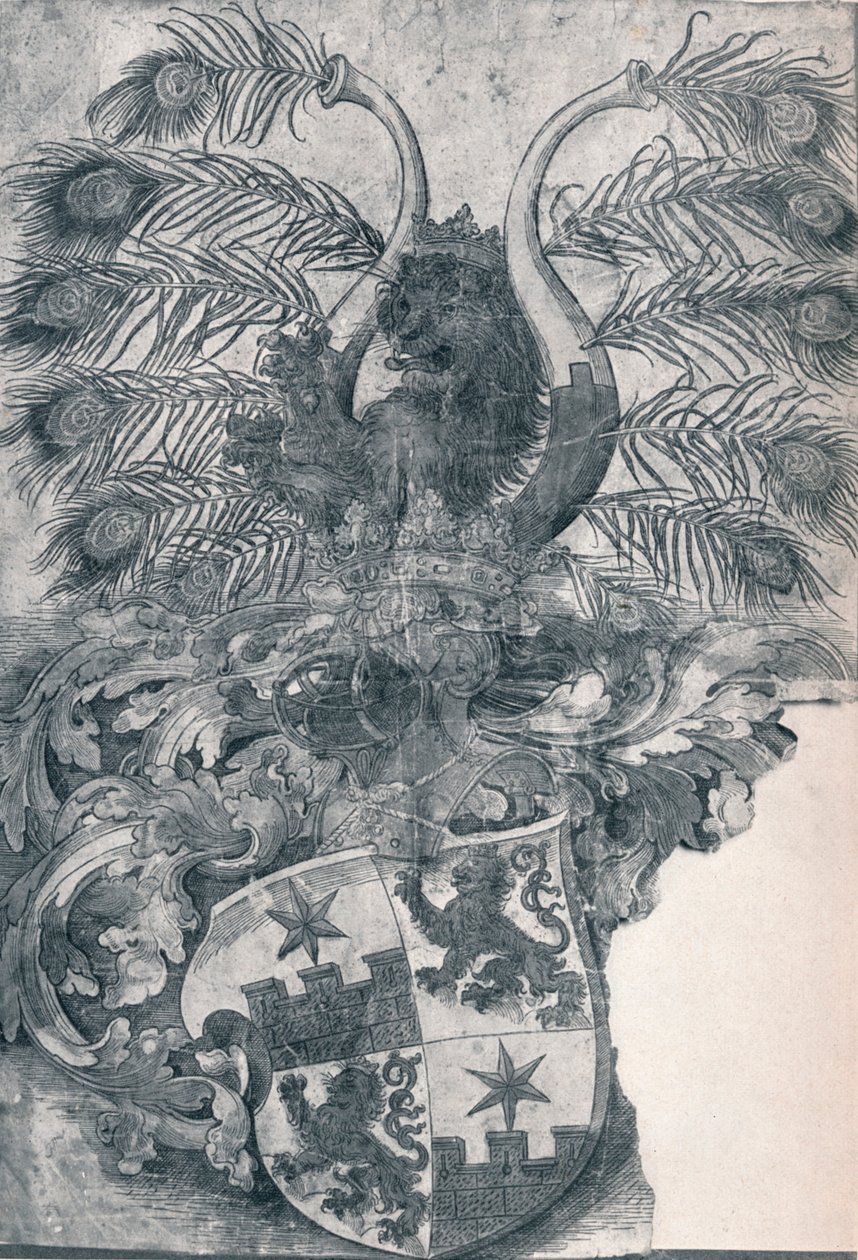 El Escudo de Armas de Wilhelm y Wolfgang Roggendorff, 1520 1906 de Albrecht Dürer