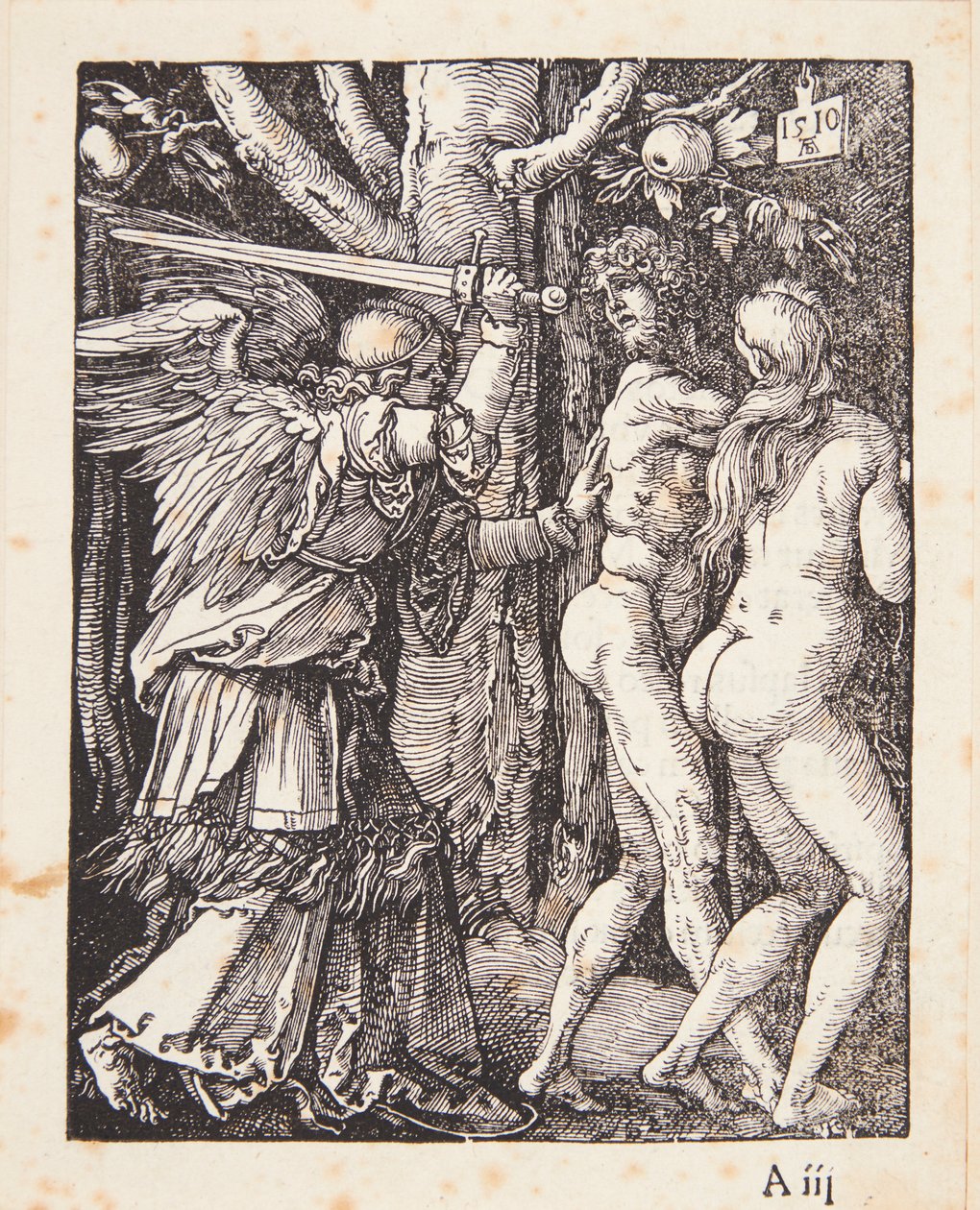 La expulsión del Paraíso de Albrecht Dürer