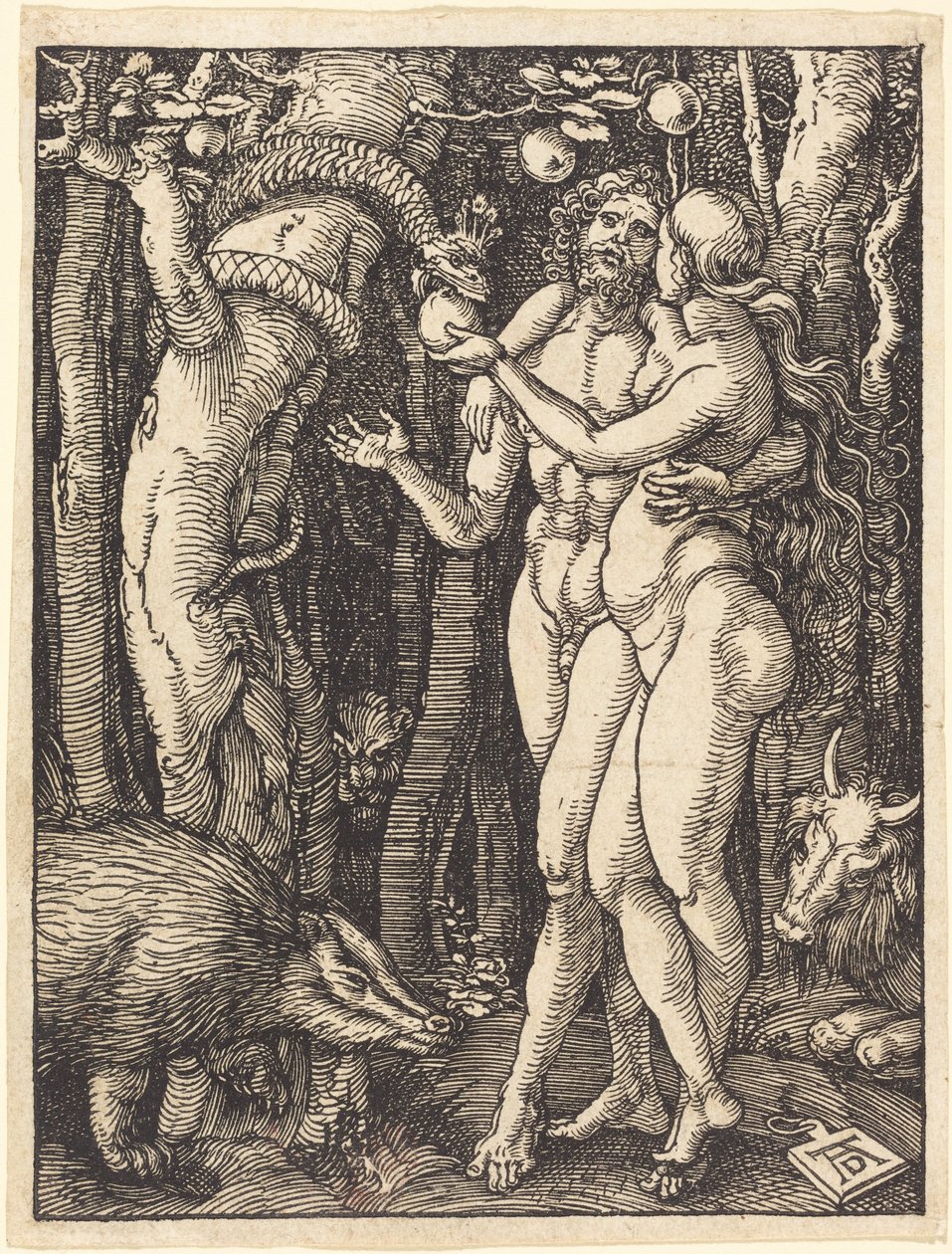 La caída del hombre de Albrecht Dürer
