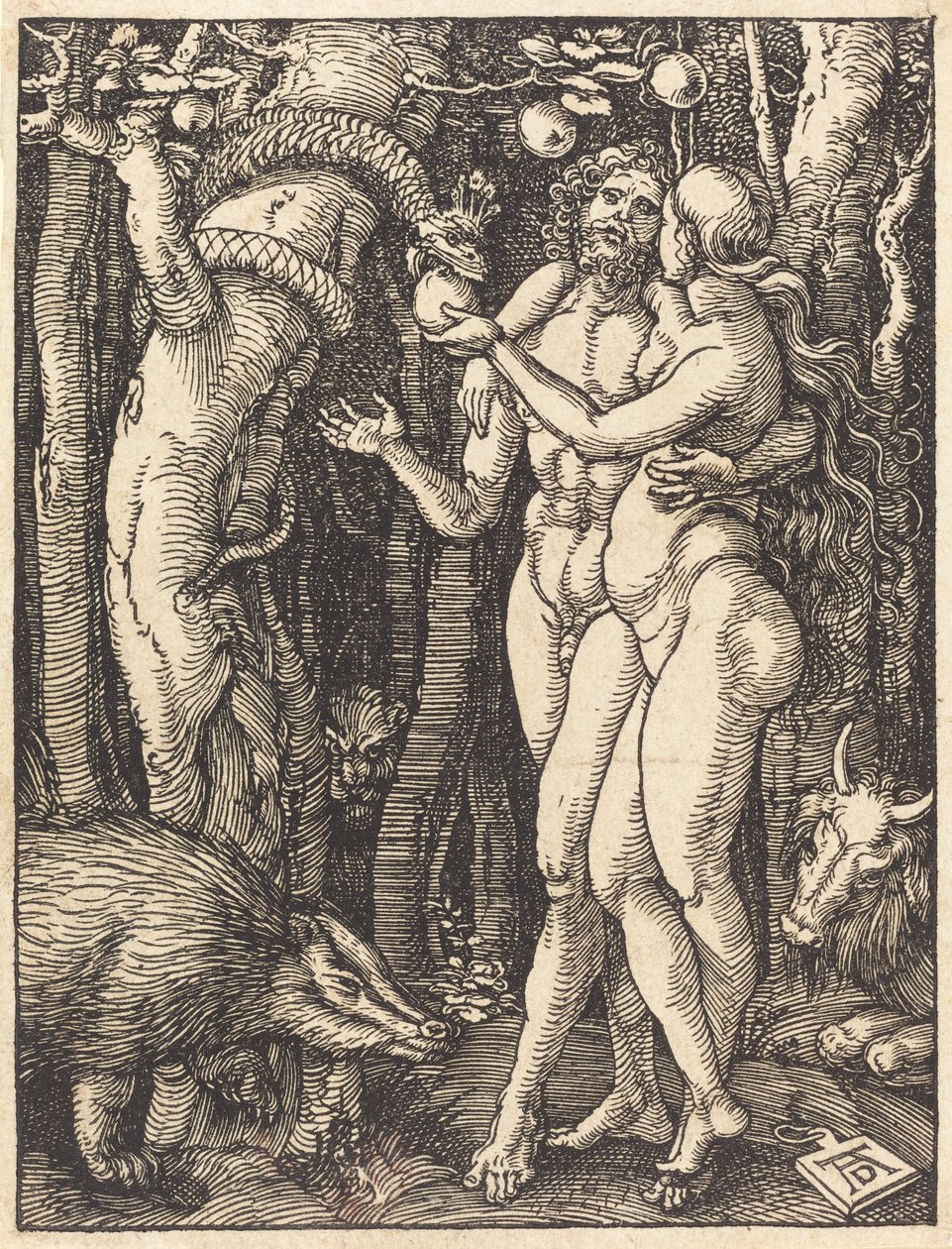 La caída del hombre de Albrecht Dürer
