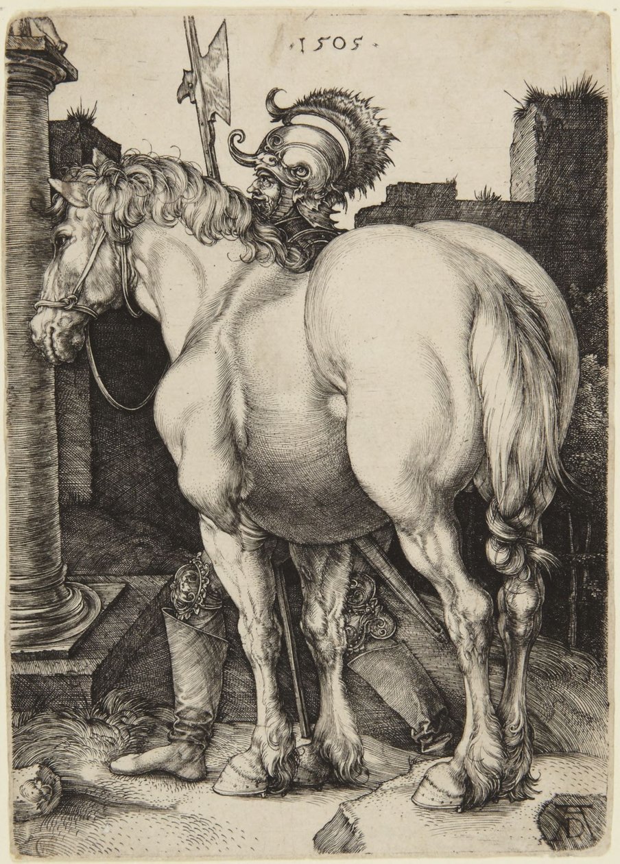 El gran caballo de Albrecht Dürer