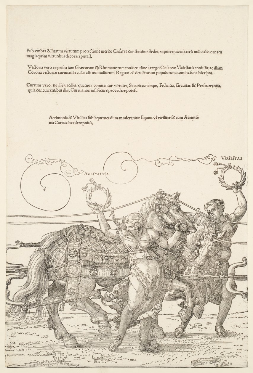La gran carroza triunfal: Acrimonia y Virilitas de Albrecht Dürer