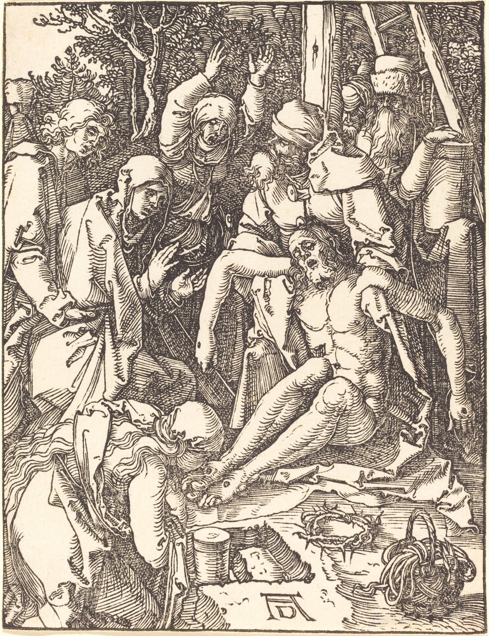 El lamento de Albrecht Dürer