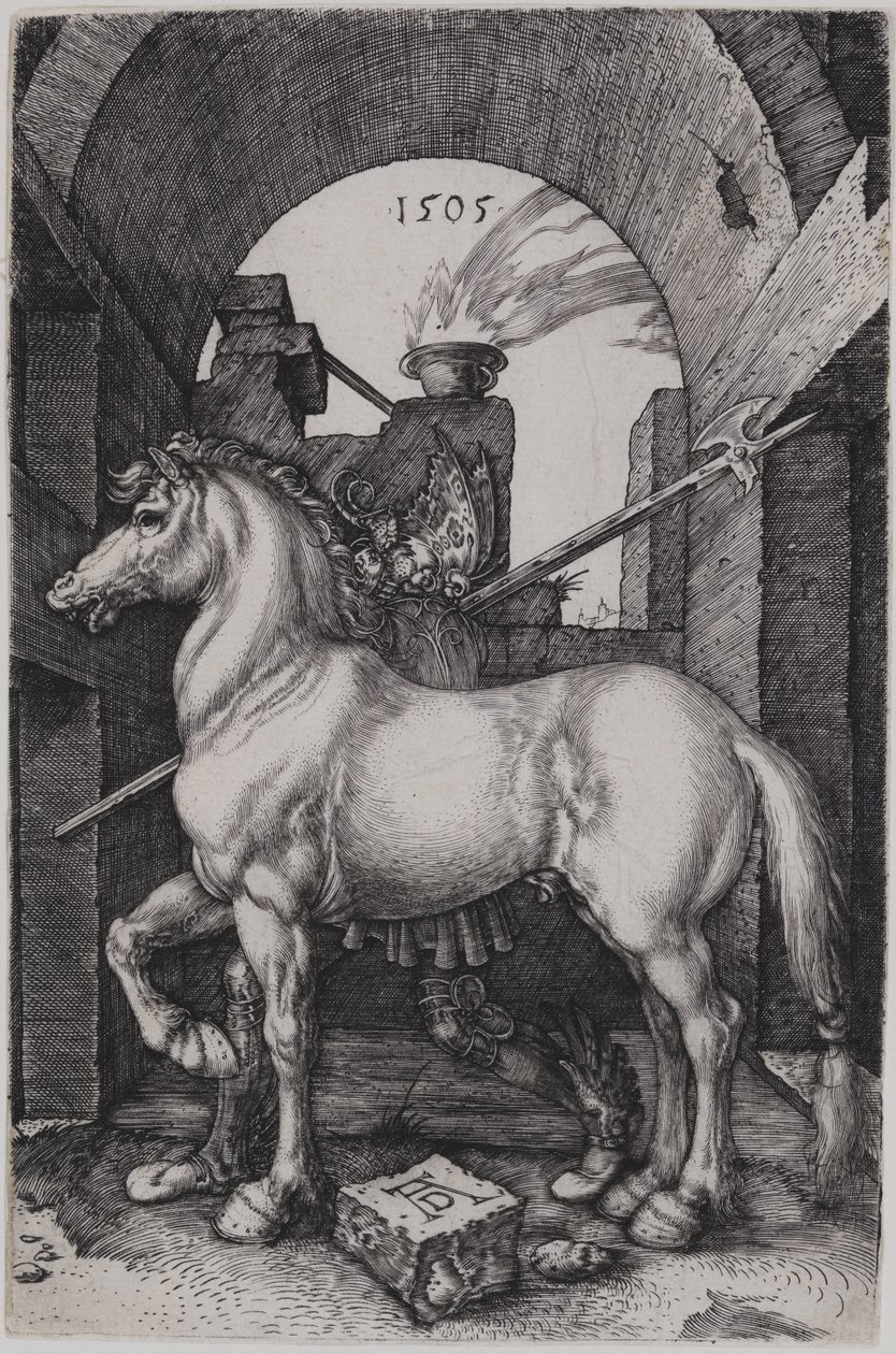 El caballito de Albrecht Dürer