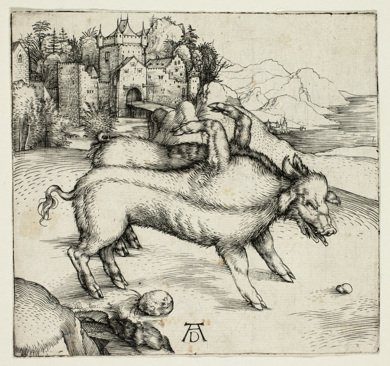 La Monstruosa Cerda de Landser de Albrecht Dürer