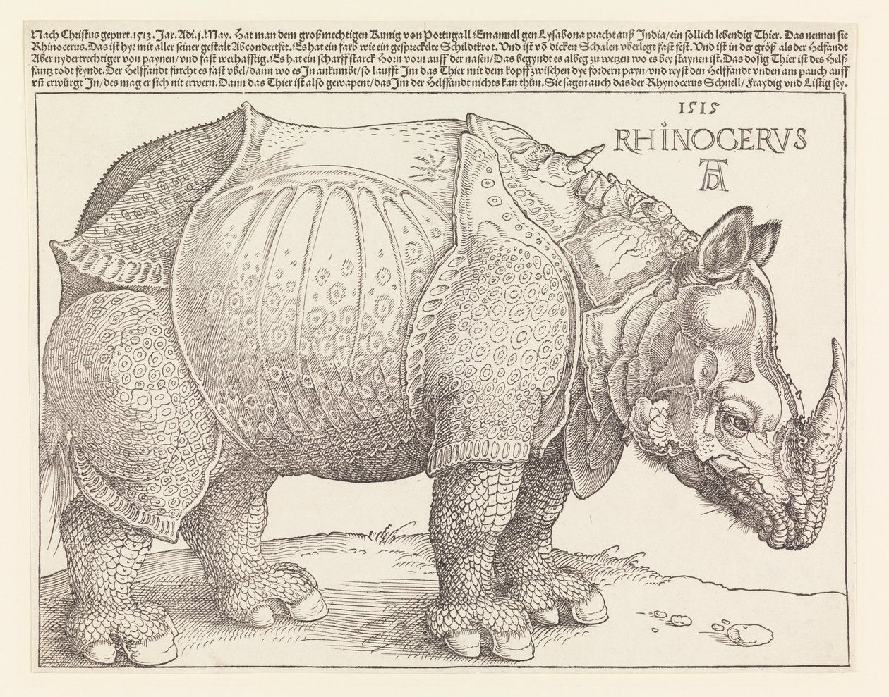El rinoceronte de Albrecht Dürer