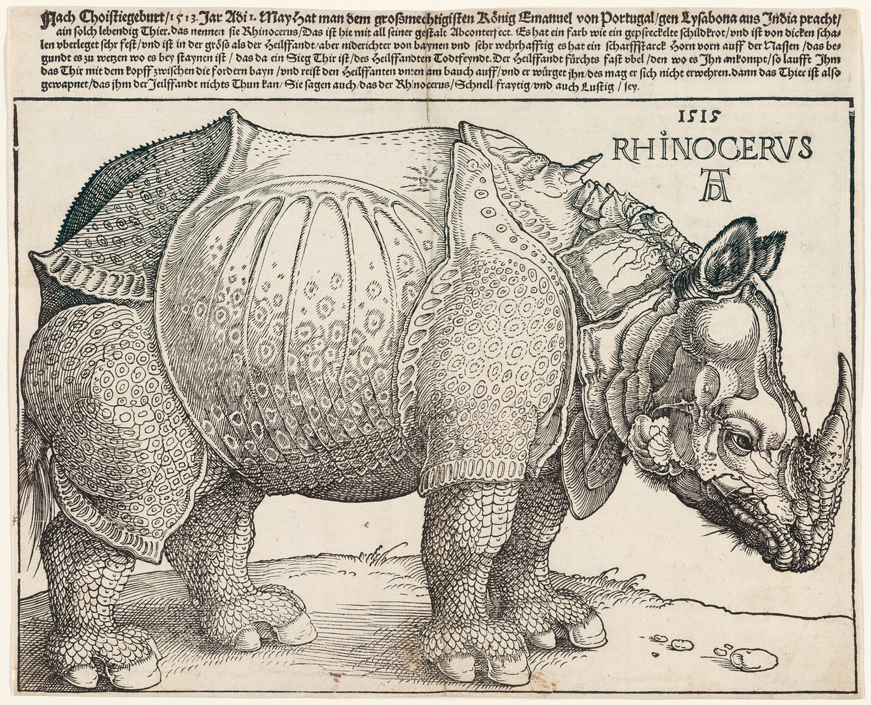 El rinoceronte de Albrecht Dürer