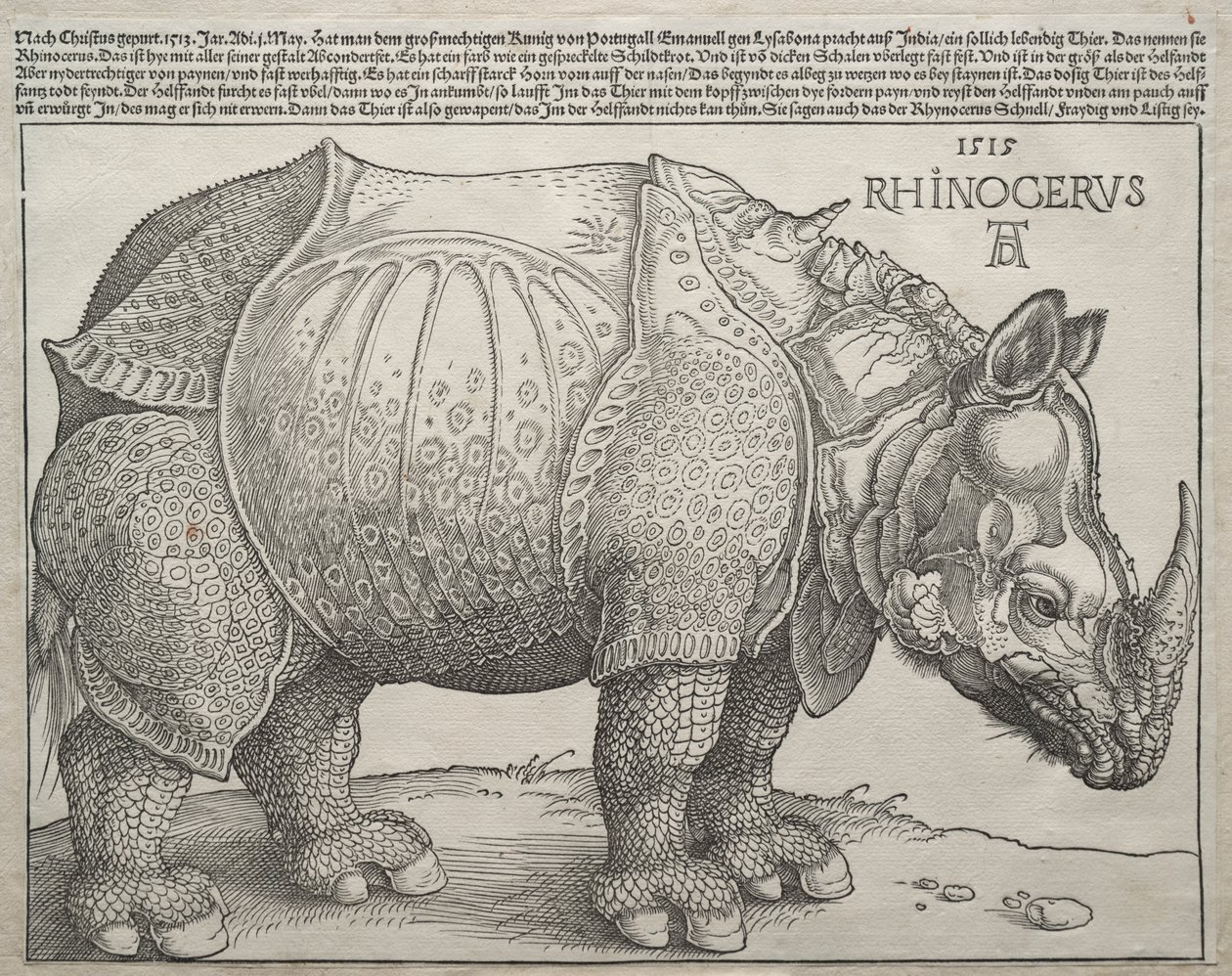 The Rhinoceros de Albrecht Dürer