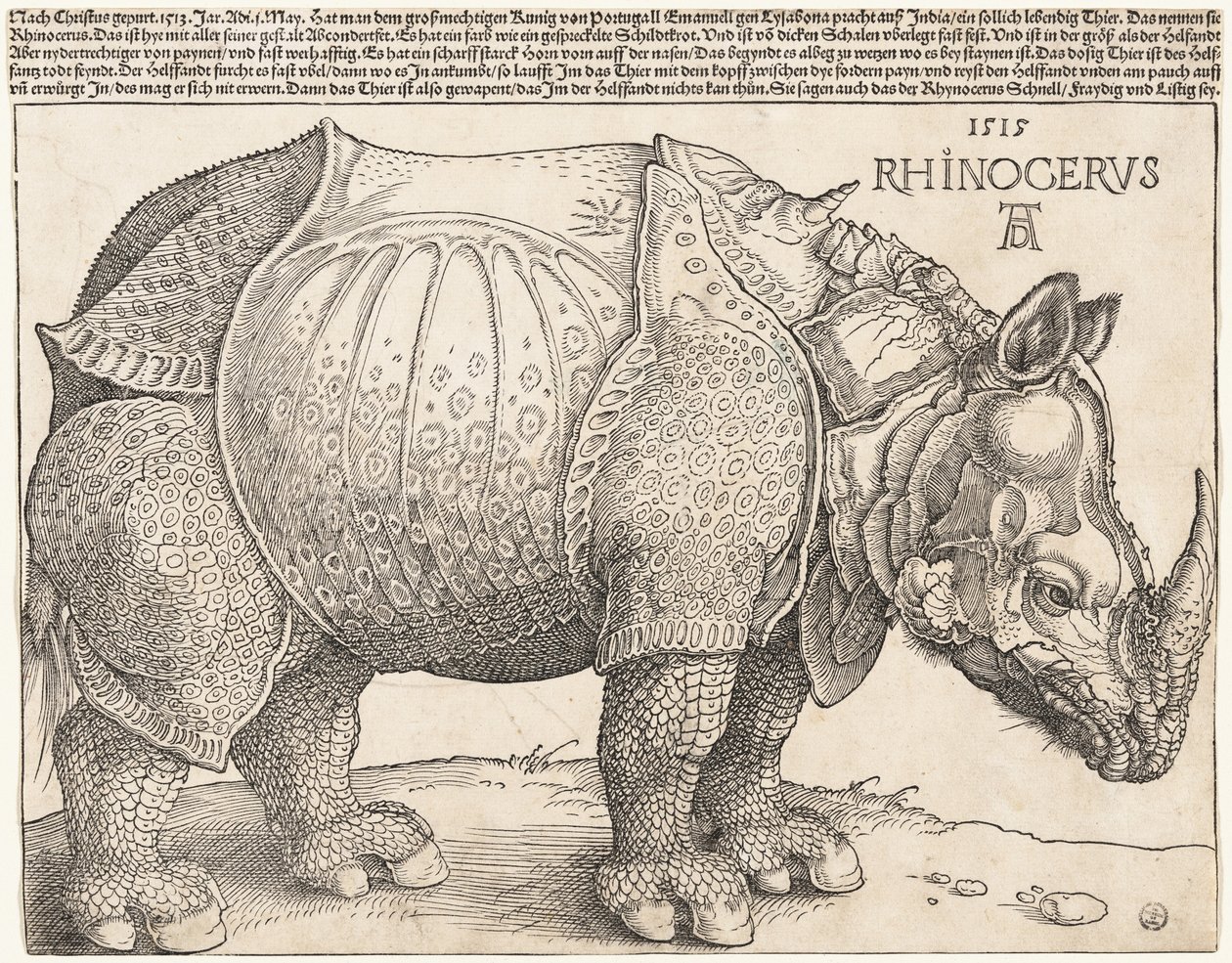 El rinoceronte de Albrecht Dürer