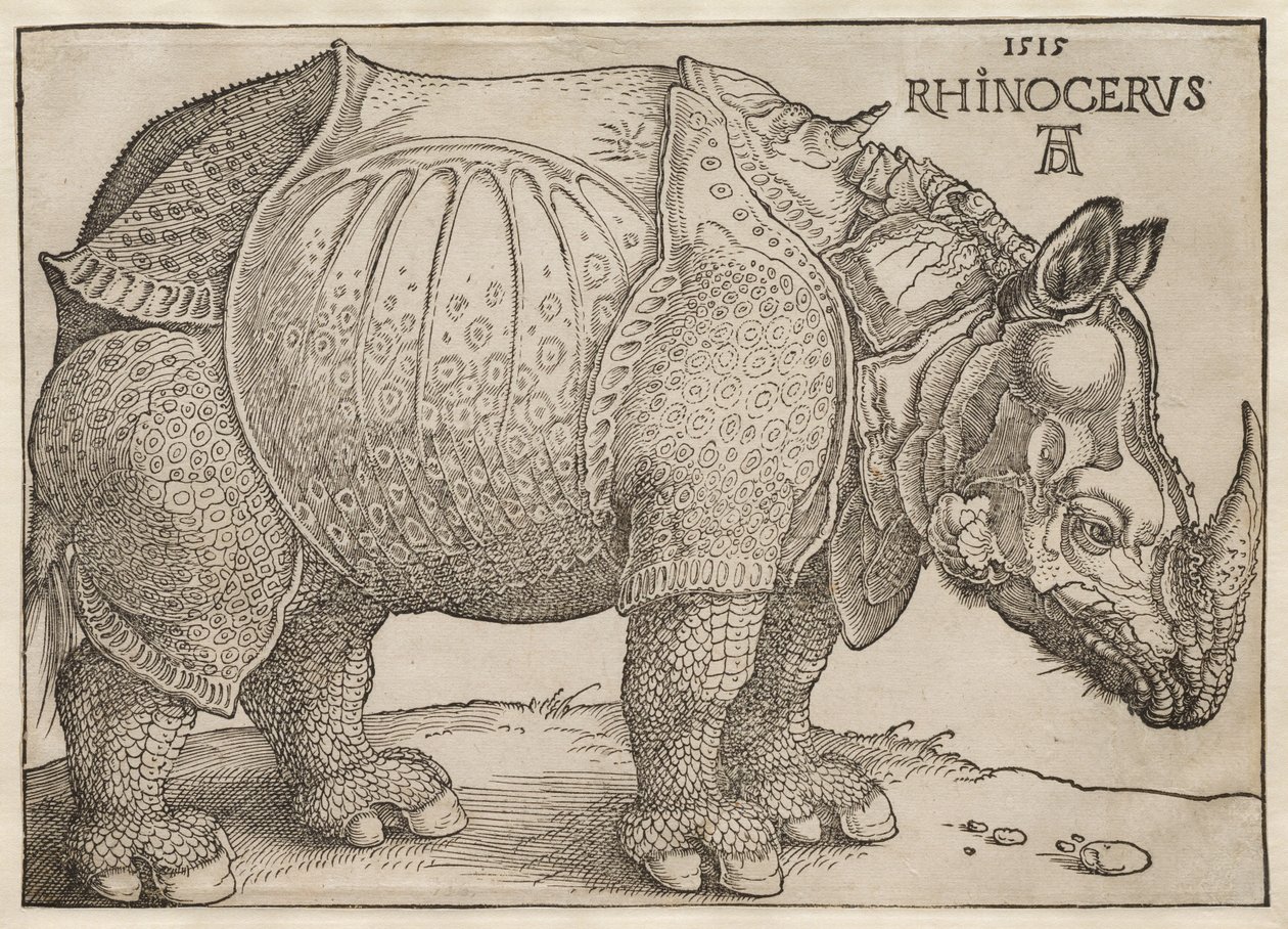 El rinoceronte de Albrecht Dürer